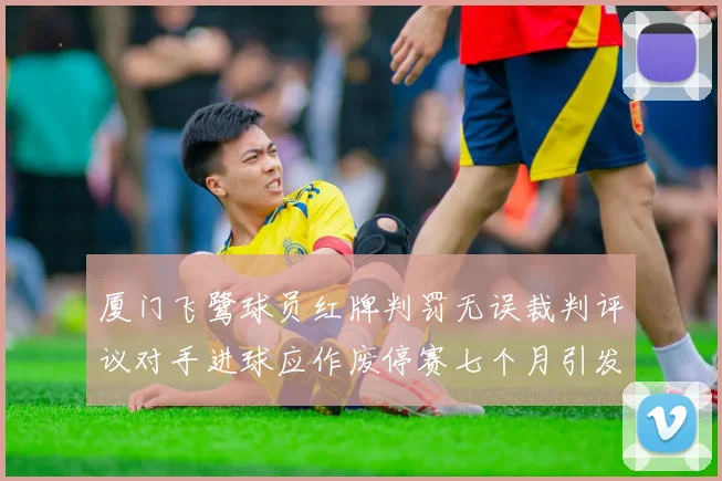 厦门飞鹭球员红牌判罚无误裁判评议对手进球应作废停赛七个月引发热议